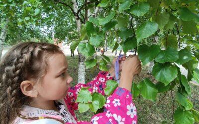 Троицу еще называют днем зеленых святок