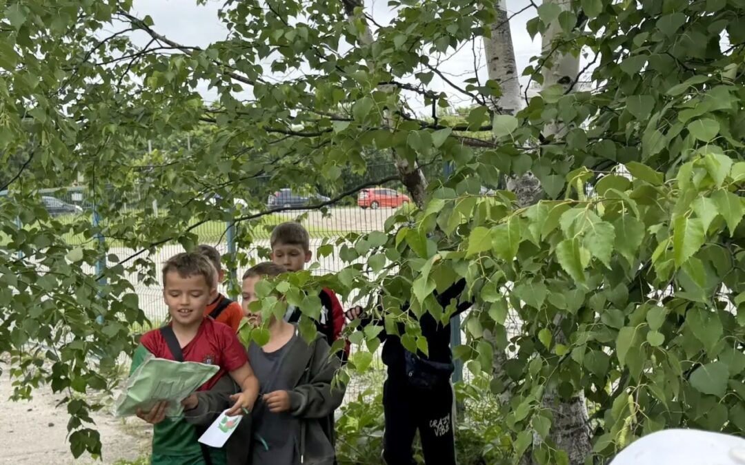 Пока цветет папоротник